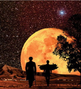 試練の中でなすべきこと（3）