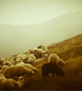 「私の将来を導く神」