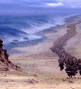 「人生最大の奇跡」